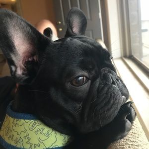 Meet your Posher, Carla